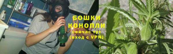 гашик Беломорск
