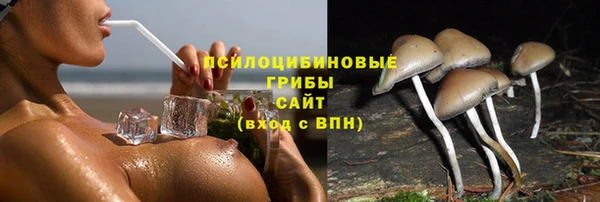 гашик Беломорск