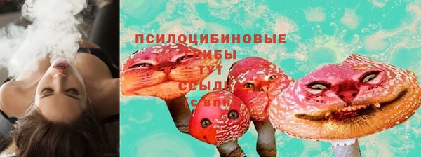 гашик Беломорск
